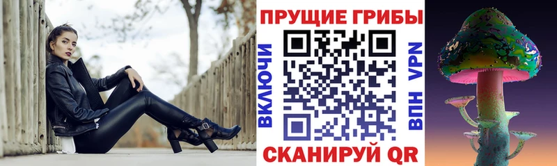 Галлюциногенные грибы мицелий  mega ссылка  Верея 